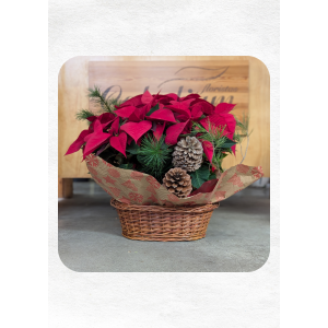 Cesta alargada con dos pascueros