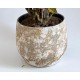 Macetero de ceramica
