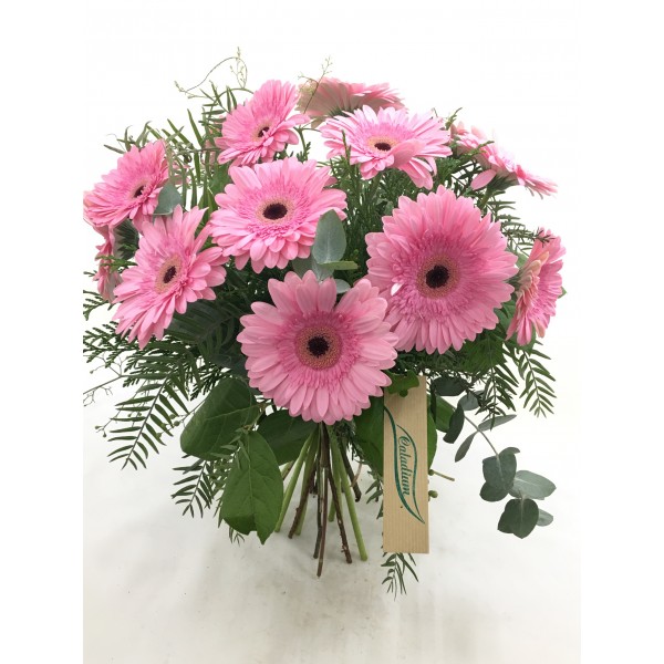 Ramo de gerberas rosas Ramo de gerberas rosas