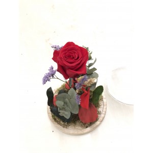 Rosa eterna en cúpula