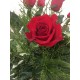 Rosas rojas