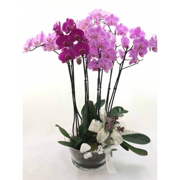 Centro trío orquídeas rosas Centro trío orquídeas rosas